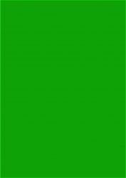 Термоплёнка Poli-Flex Premium 404 Green, рулон 0,5x25м